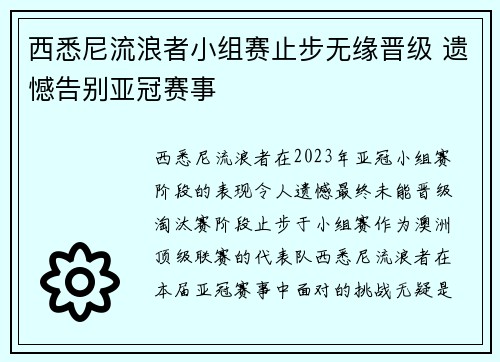西悉尼流浪者小组赛止步无缘晋级 遗憾告别亚冠赛事