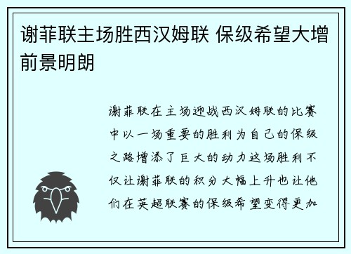 谢菲联主场胜西汉姆联 保级希望大增前景明朗